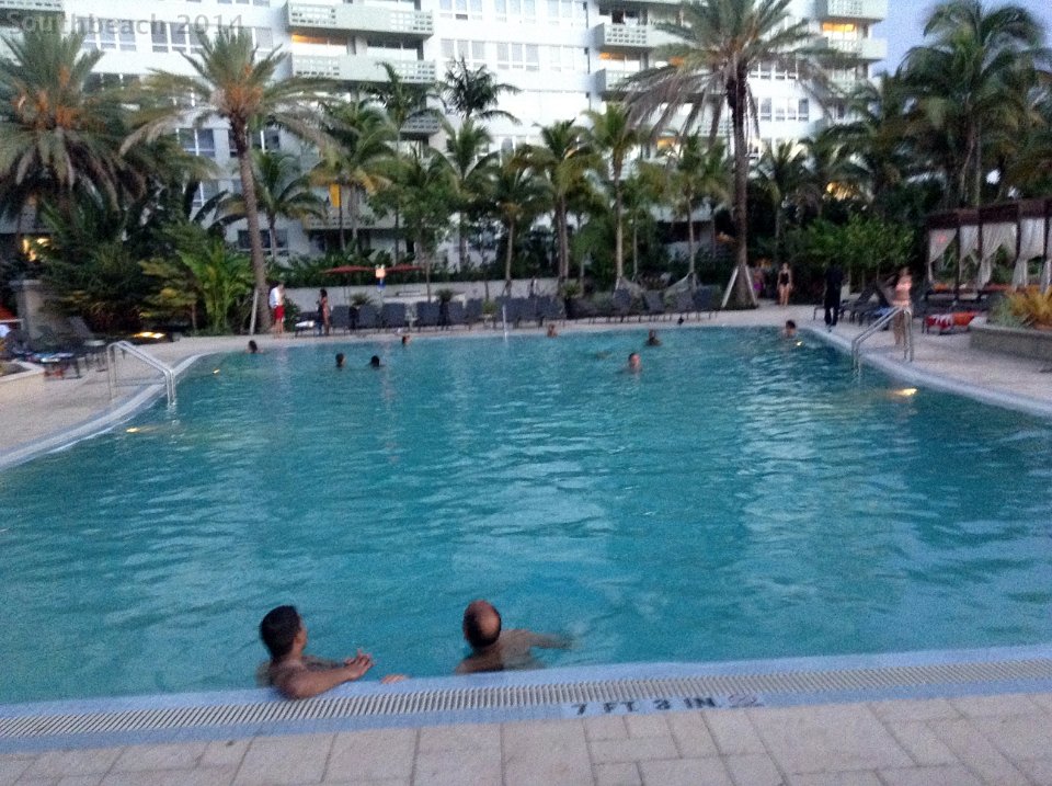 IMG 0252