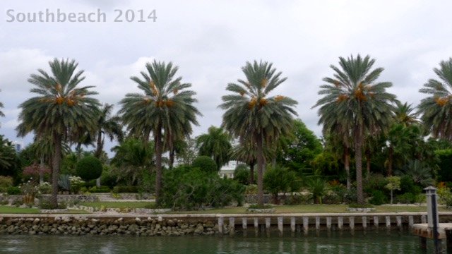 P1010778