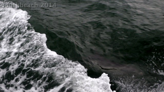P1010789